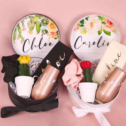 Live Cactus Gift Set