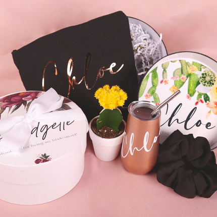 Live Cactus Gift Set